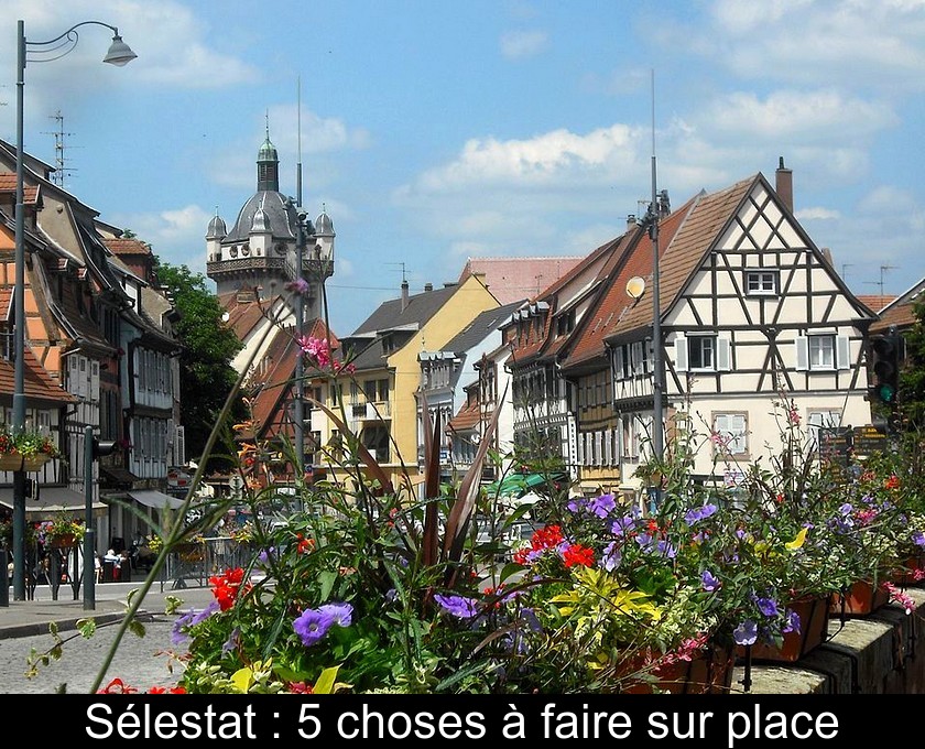 Sélestat : 5 choses à faire sur place Sélestat : 5 choses à faire sur place