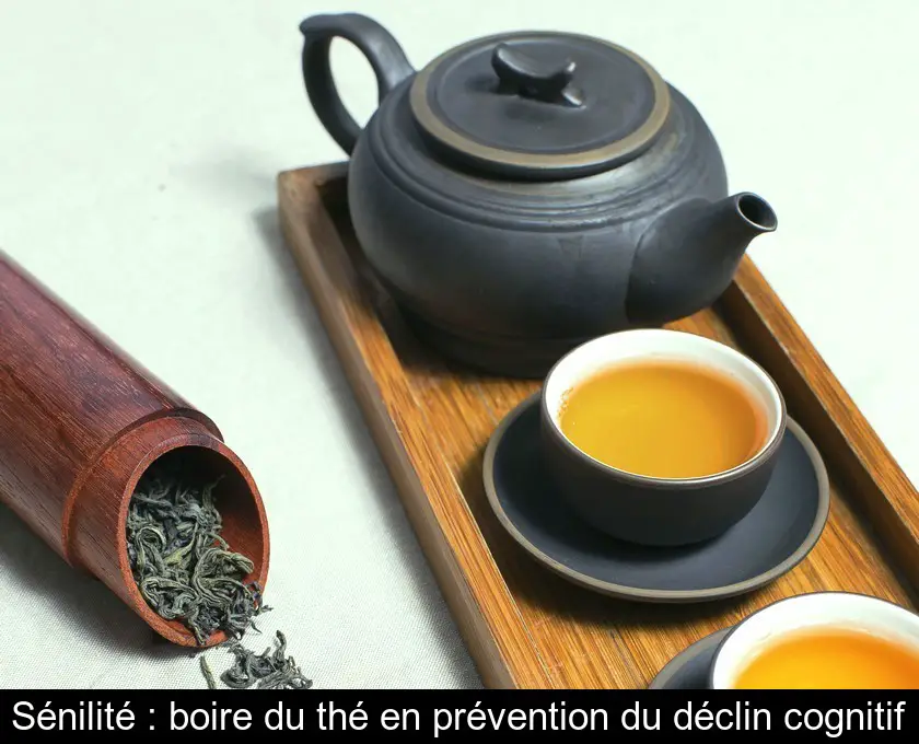 Sénilité : boire du thé en prévention du déclin cognitif