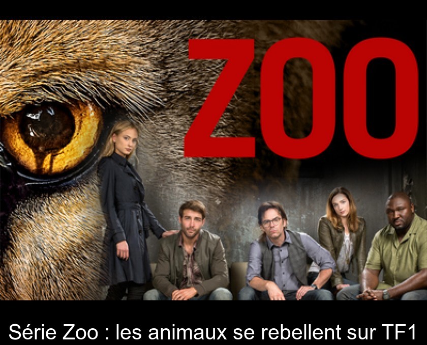 Série Zoo : les animaux se rebellent sur TF1 Série Zoo : les animaux se rebellent sur TF1