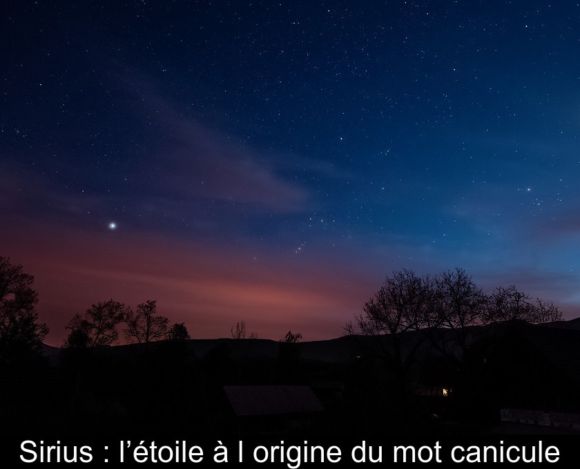 Sirius : l’étoile à l'origine du mot canicule