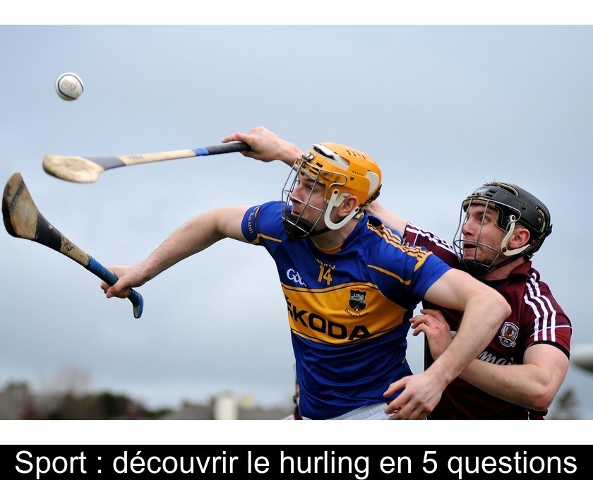 Sport : découvrir le hurling en 5 questions Sport : découvrir le hurling en 5 questions