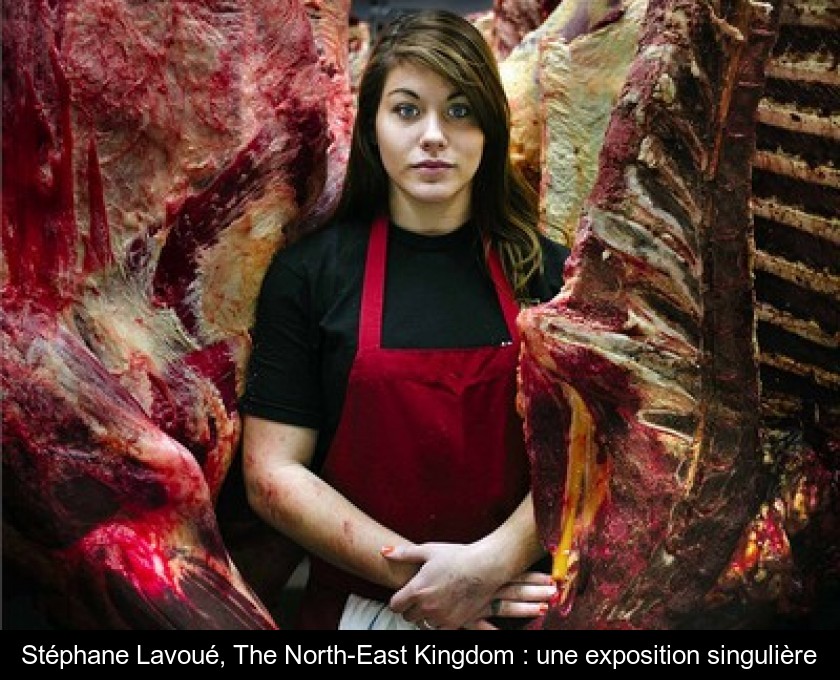 Stéphane Lavoué, The North-East Kingdom : une exposition singulière