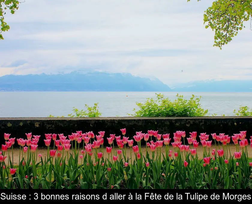 Suisse : 3 bonnes raisons d'aller à la Fête de la Tulipe de Morges