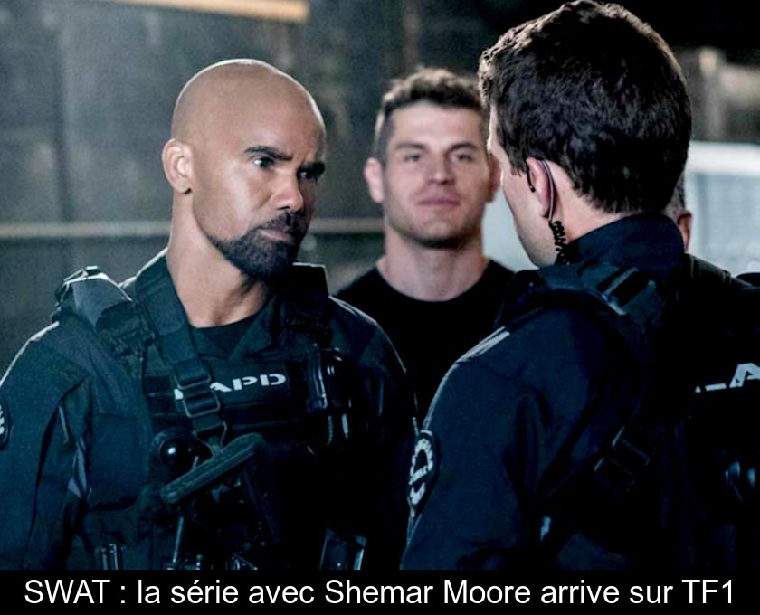 SWAT : la série avec Shemar Moore arrive sur TF1 SWAT : la série avec Shemar Moore arrive sur TF1