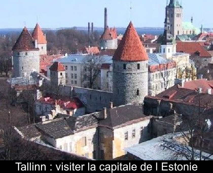 Tallinn : visiter la capitale de l'Estonie Tallinn : visiter la capitale de l'Estonie