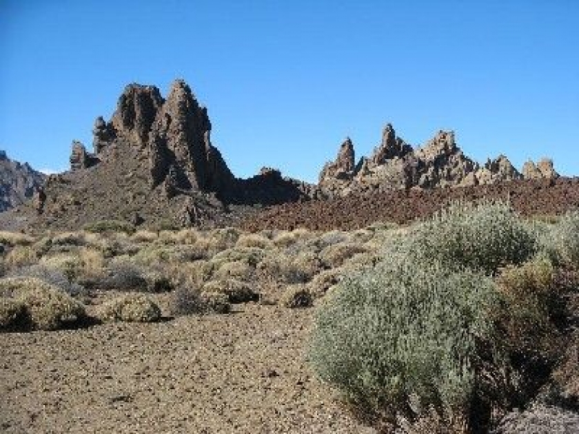 Ténérife : la plus grande île des Canaries Ténérife : la plus grande île des Canaries