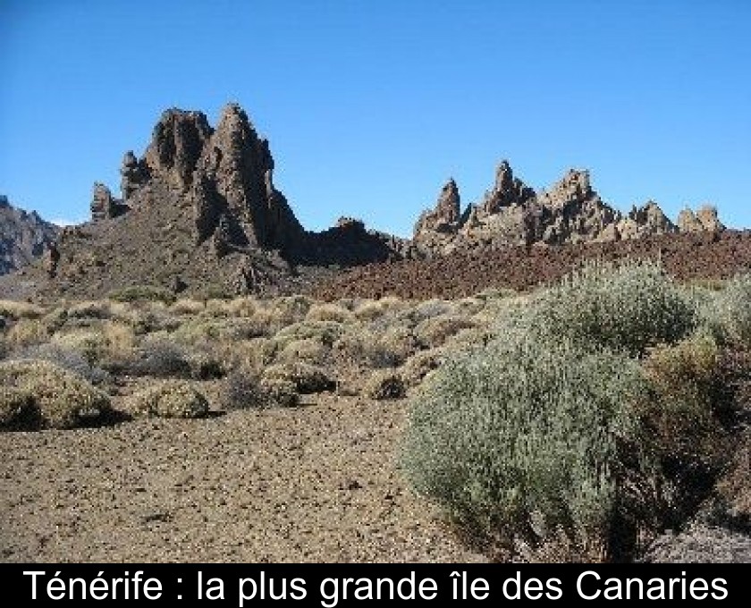 Ténérife : la plus grande île des Canaries Ténérife : la plus grande île des Canaries