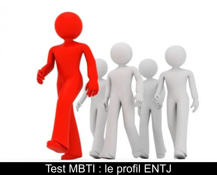 Test MBTI : le profil ENTJ