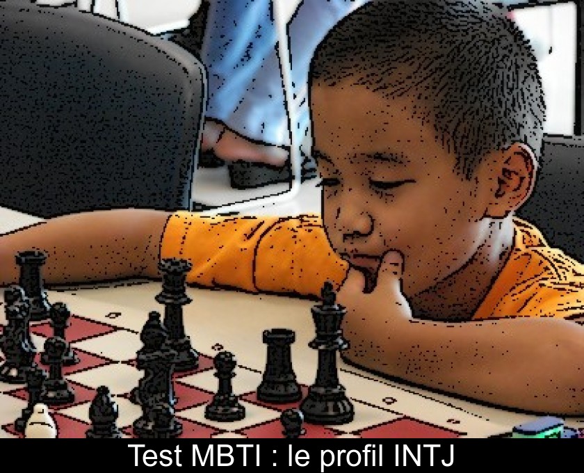 Test MBTI : le profil INTJ Test MBTI : le profil INTJ