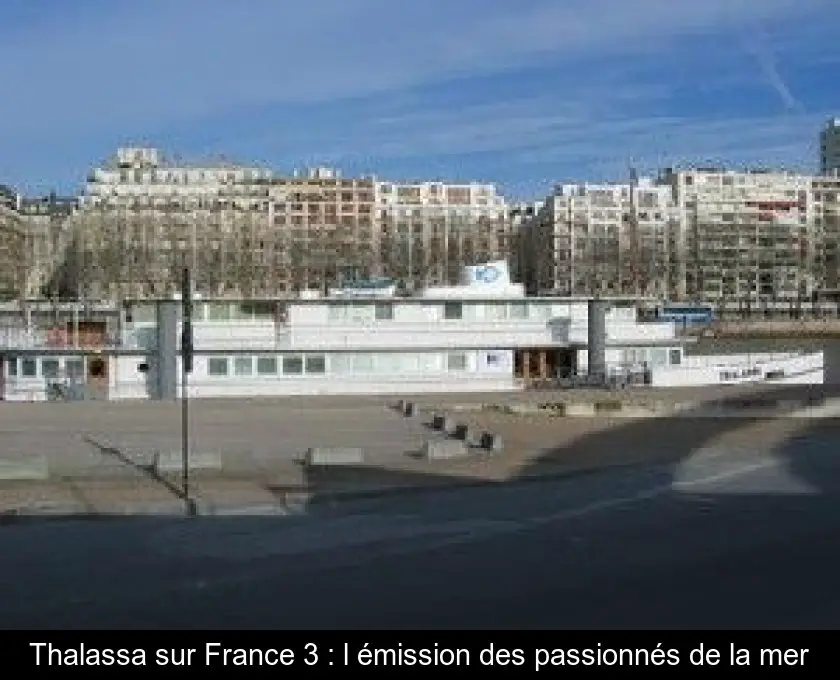 Thalassa sur France 3 : l'émission des passionnés de la mer