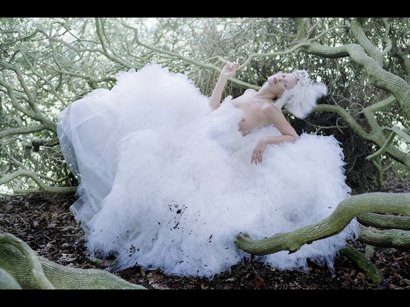 Tim Walker : un photographe à l'univers onirique Tim Walker : un photographe à l'univers onirique