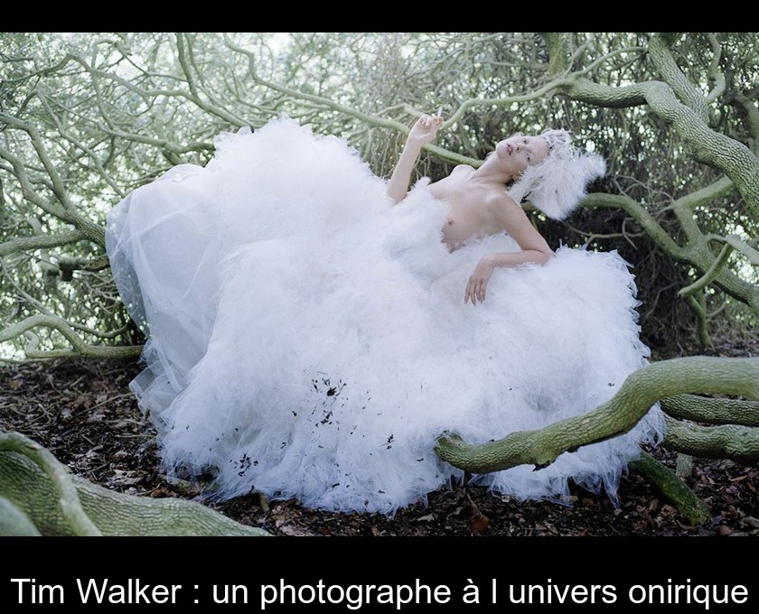 Tim Walker : un photographe à l'univers onirique Tim Walker : un photographe à l'univers onirique