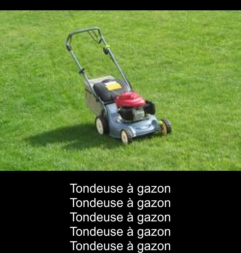 Tondeuse à gazon Tondeuse à gazon