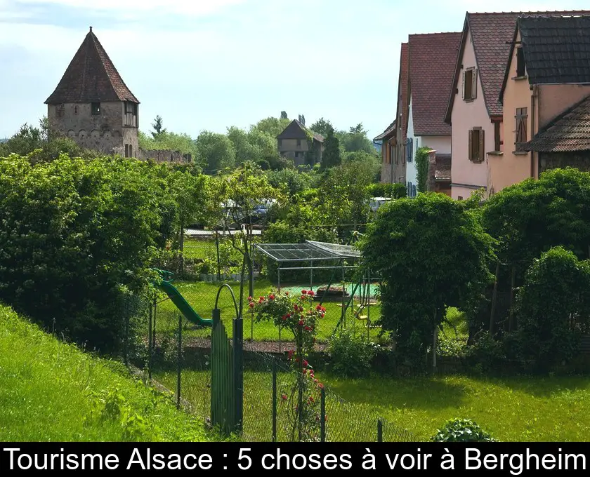Tourisme Alsace : 5 choses à voir à Bergheim