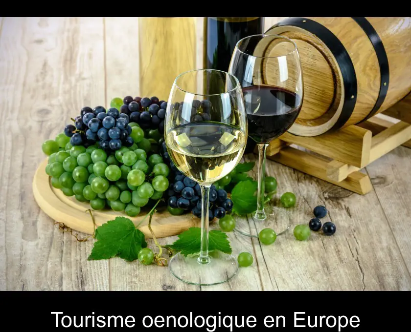 Tourisme oenologique en Europe