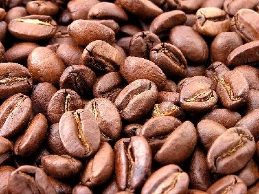 Tout savoir sur la caféine Tout savoir sur la caféine