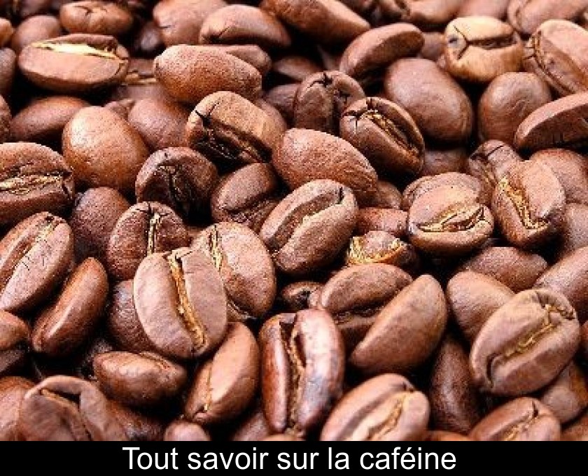 Tout savoir sur la caféine Tout savoir sur la caféine