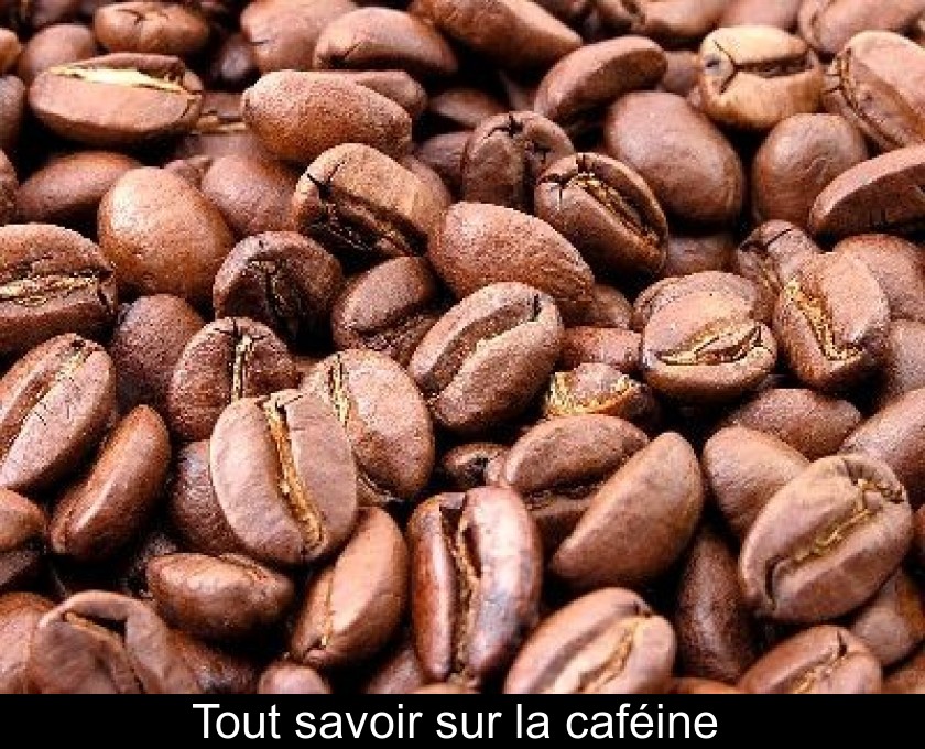 Tout savoir sur la caféine