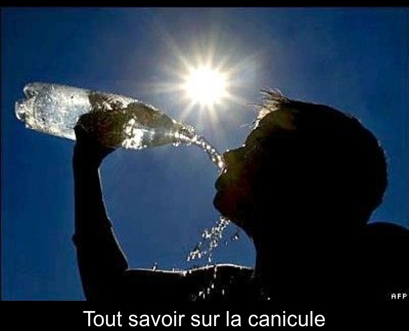 Tout savoir sur la canicule Tout savoir sur la canicule