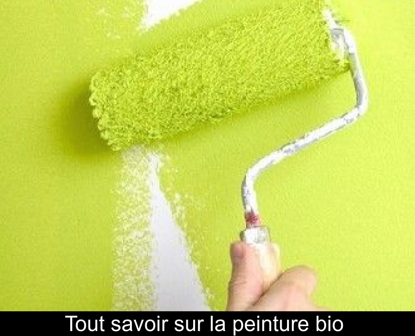 Tout savoir sur la peinture bio Tout savoir sur la peinture bio