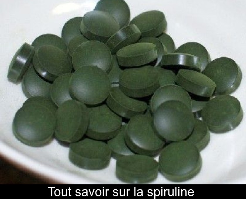 Tout savoir sur la spiruline Tout savoir sur la spiruline