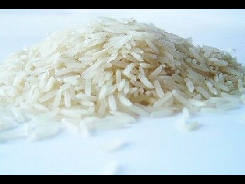 Tout savoir sur le riz Tout savoir sur le riz