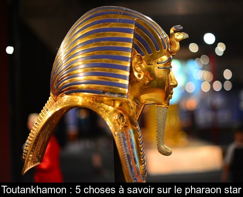 Toutankhamon : 5 choses à savoir sur le pharaon star