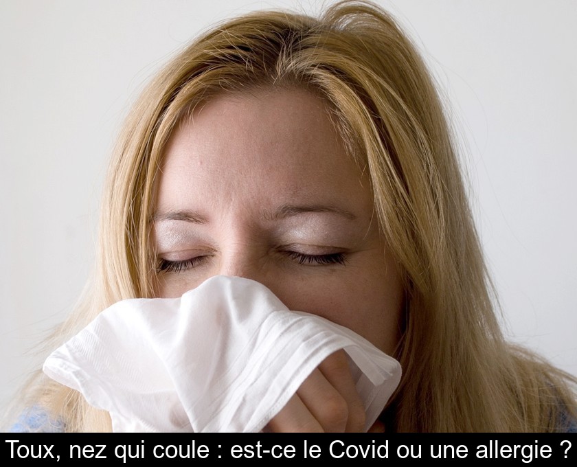 Toux, nez qui coule : est-ce le Covid ou une allergie ?