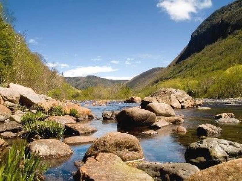 Trame verte et bleue : un projet de sauvegarde de la biodiversité Trame verte et bleue : un projet de sauvegarde de la biodiversité