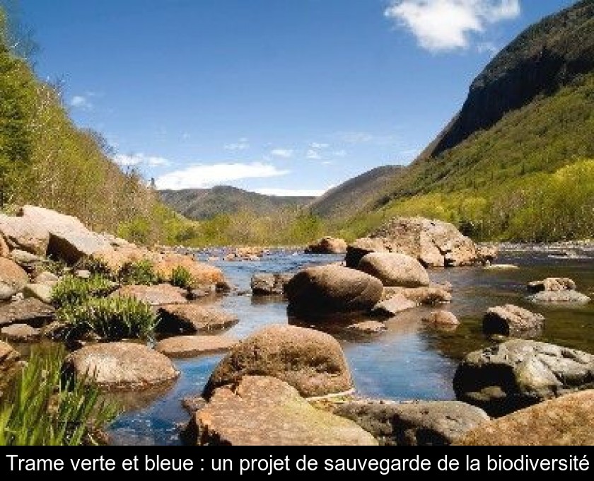 Trame verte et bleue : un projet de sauvegarde de la biodiversité Trame verte et bleue : un projet de sauvegarde de la biodiversité