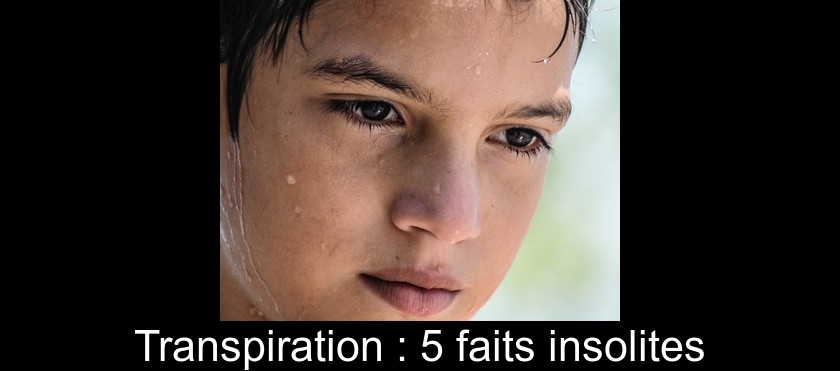 Transpiration : 5 faits insolites Transpiration : 5 faits insolites