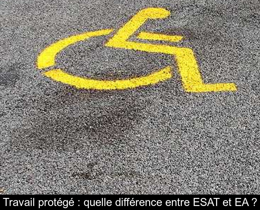 Travail protégé : quelle différence entre ESAT et EA ? Travail protégé : quelle différence entre ESAT et EA ?