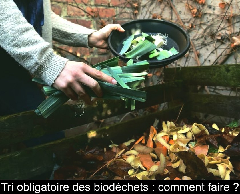 Tri des biodéchets : comment faire ? Tri des biodéchets : comment faire ?