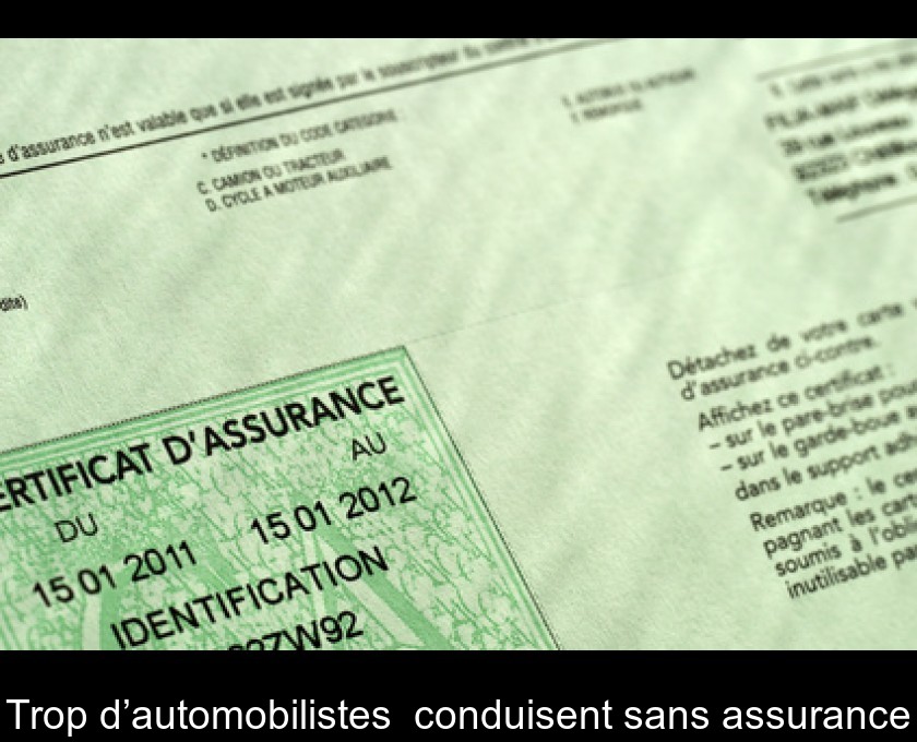 Trop d’automobilistes conduisent sans assurance Trop d’automobilistes conduisent sans assurance