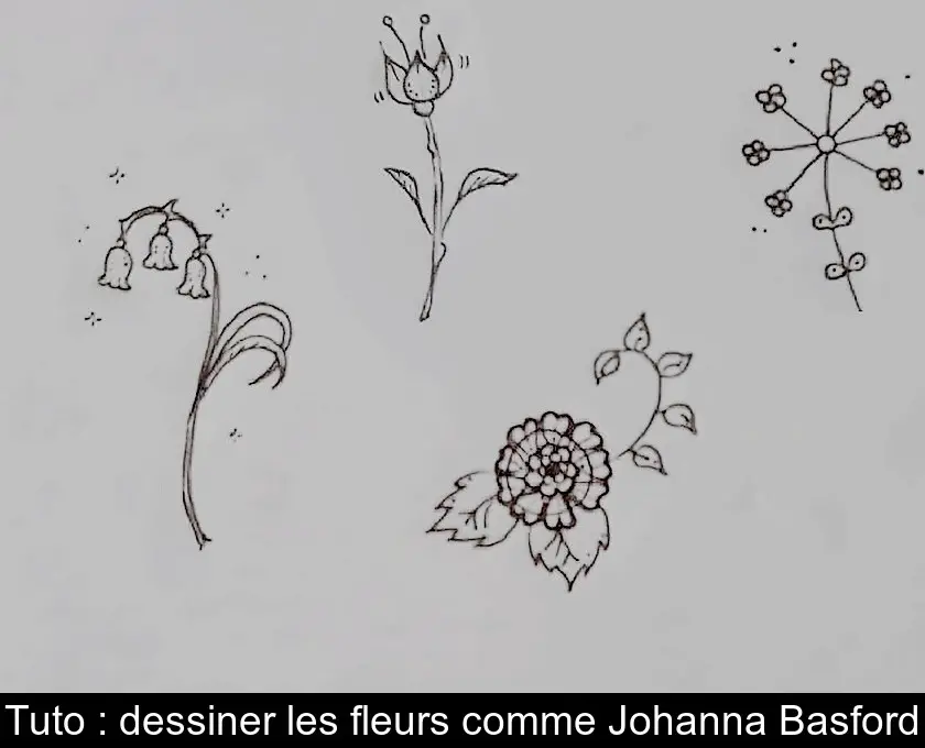 Tuto : dessiner les fleurs comme Johanna Basford