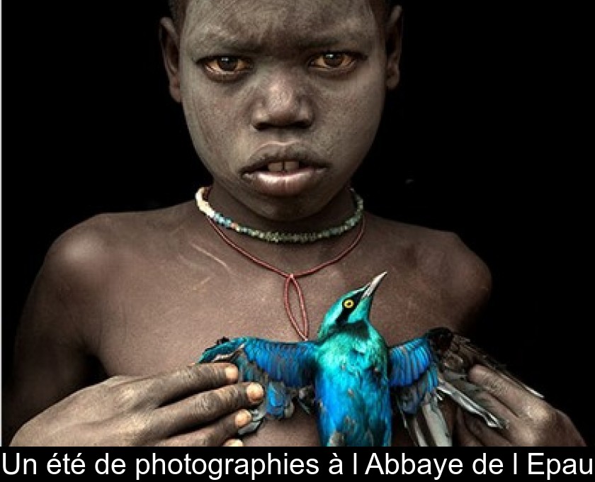 Un été de photographies à l'Abbaye de l'Epau Un été de photographies à l'Abbaye de l'Epau