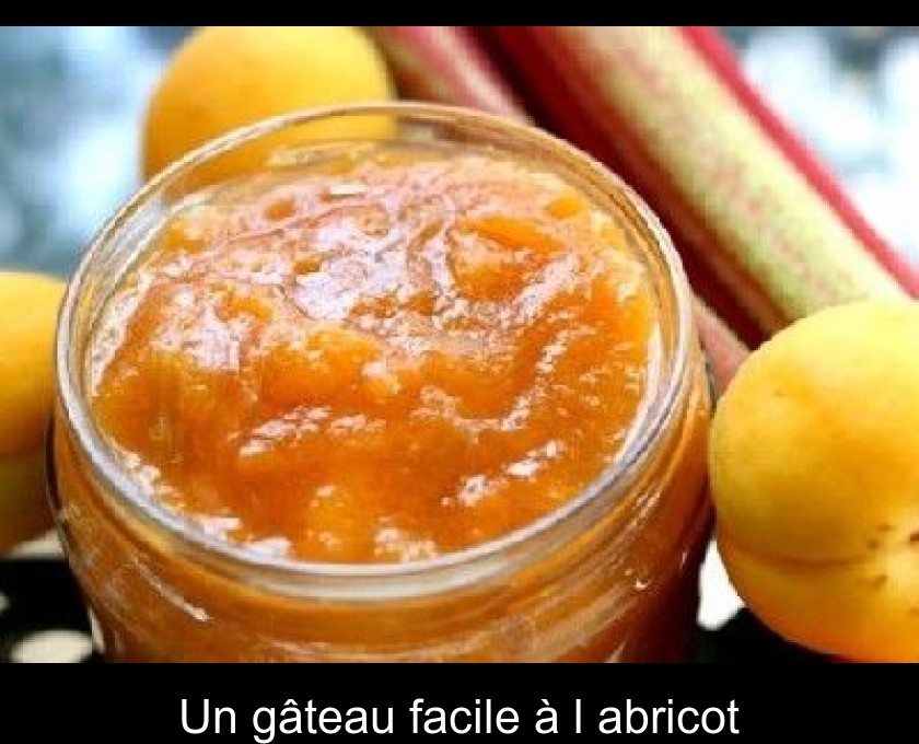 Un Gateau Facile A L Abricot Un Gateau Facile A L Abricot