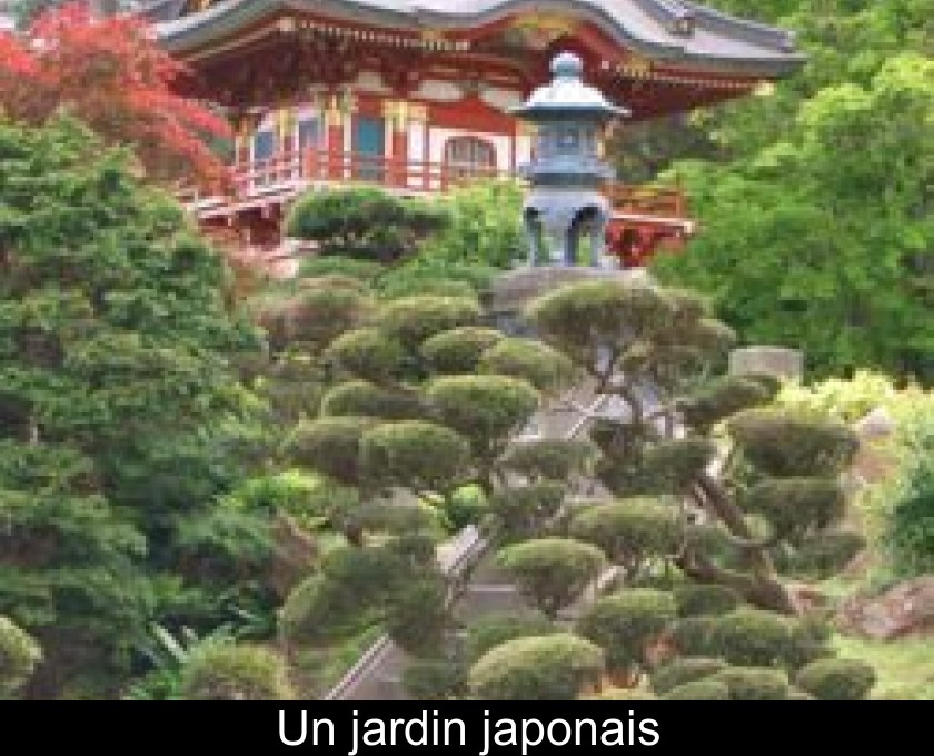 Un jardin japonais Un jardin japonais