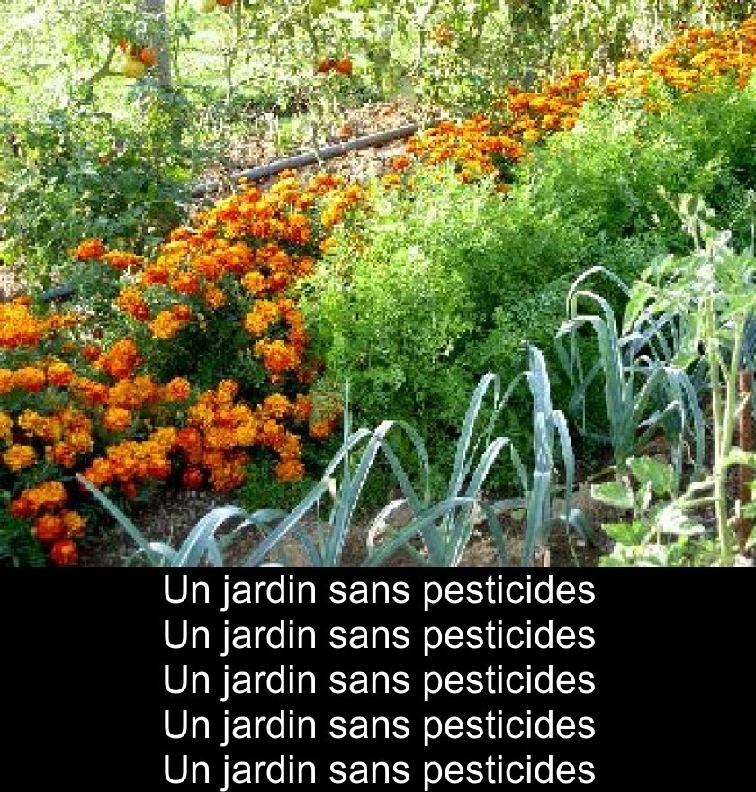 Un jardin sans pesticides Un jardin sans pesticides