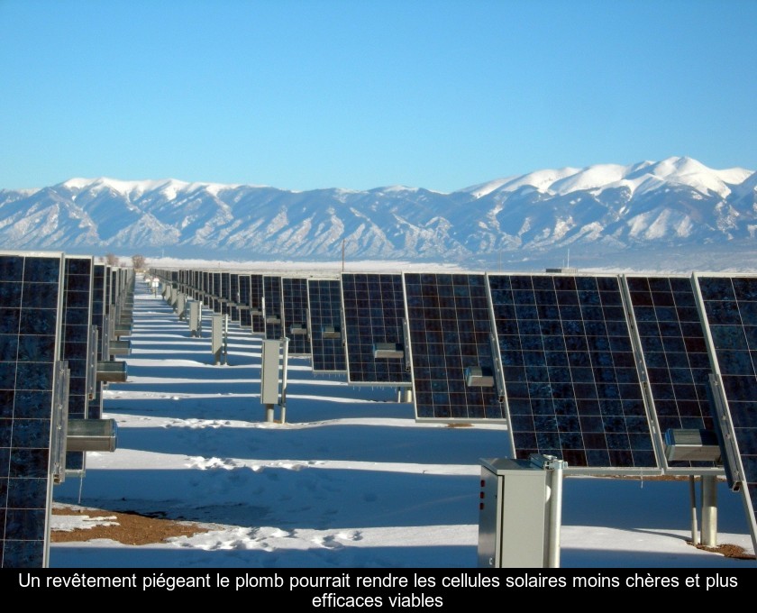 Un revêtement piégeant le plomb pourrait rendre les cellules solaires moins chères et plus efficaces viables Un revêtement piégeant le plomb pourrait rendre les cellules solaires moins chères et plus efficaces viables