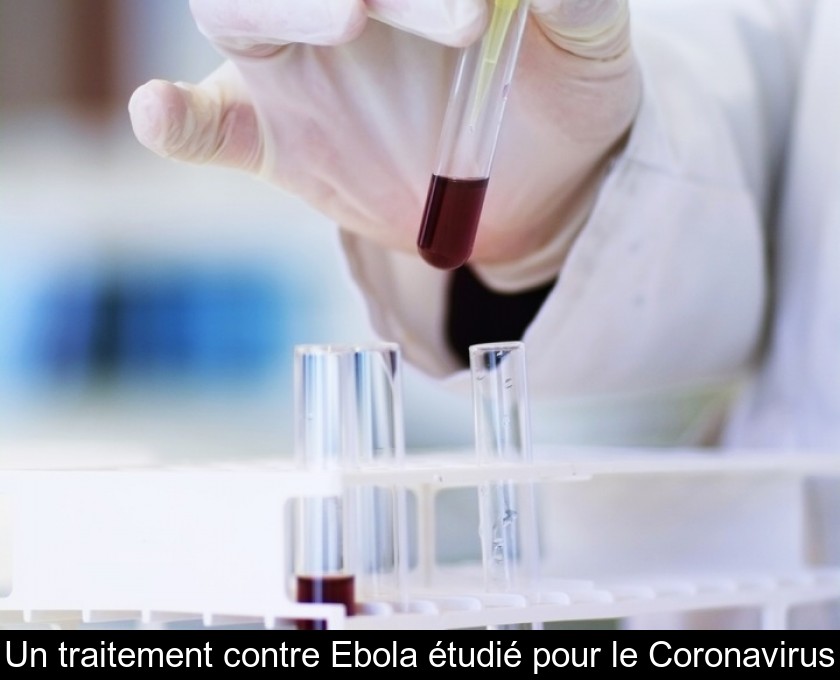 Un traitement contre Ebola étudié pour le Coronavirus Un traitement contre Ebola étudié pour le Coronavirus