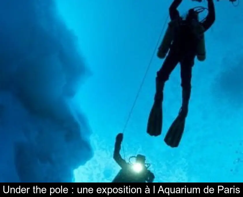 Under the pole : une exposition à l'Aquarium de Paris