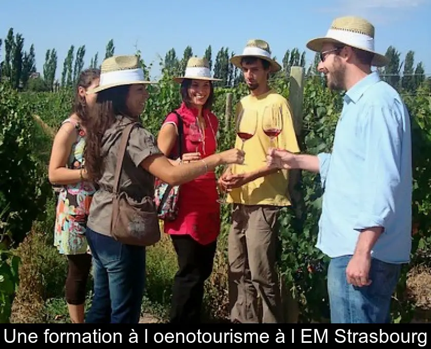 Une formation à l'oenotourisme à l'EM Strasbourg