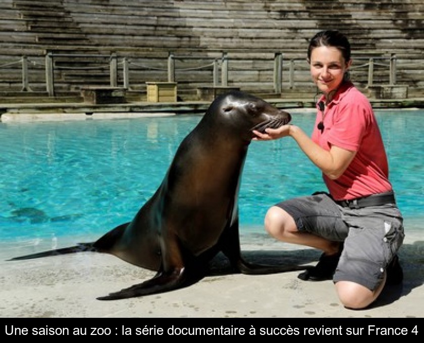 Une saison au zoo : la série documentaire à succès revient sur France 4