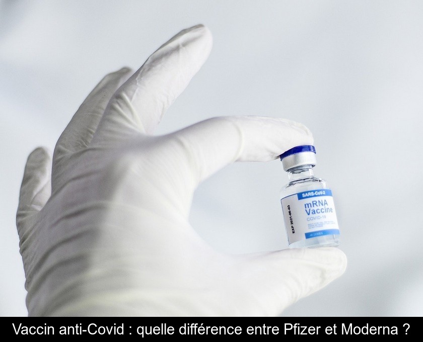 Vaccin anti-Covid : quelle différence entre Pfizer et Moderna ? Vaccin anti-Covid : quelle différence entre Pfizer et Moderna ?