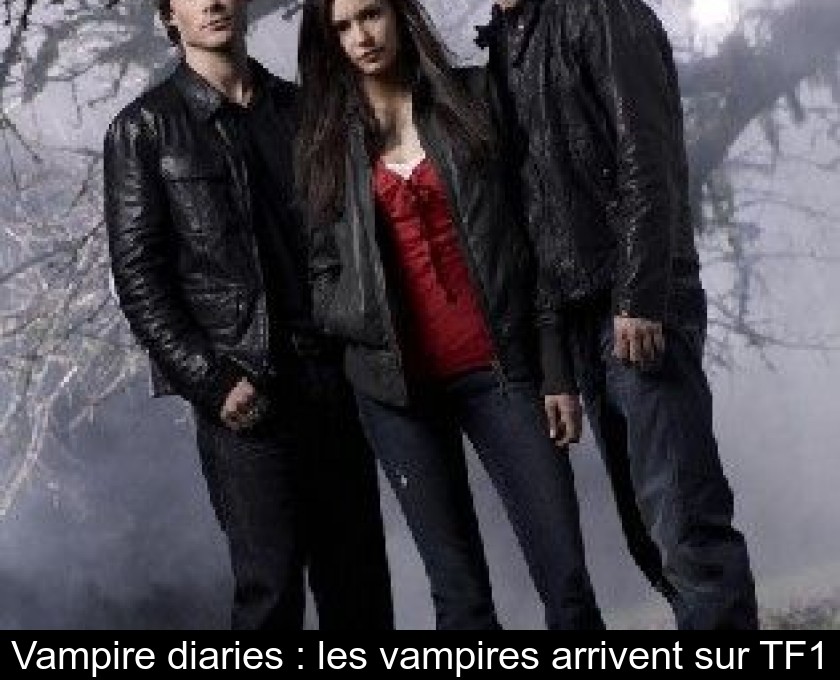 Vampire diaries : les vampires arrivent sur TF1 Vampire diaries : les vampires arrivent sur TF1