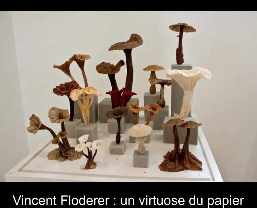 Vincent Floderer : un virtuose du papier