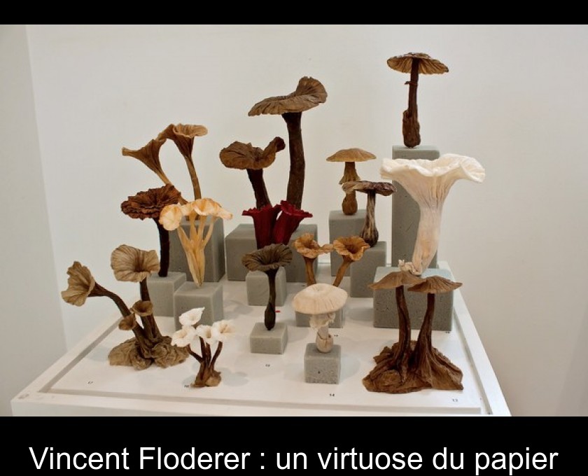 Vincent Floderer : un virtuose du papier Vincent Floderer : un virtuose du papier