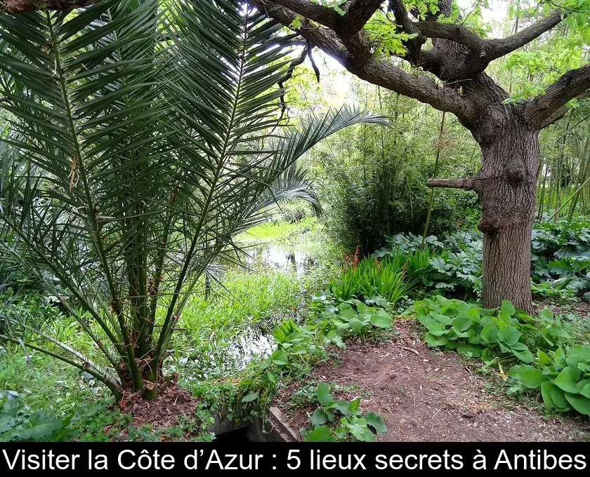 Visiter la Côte d’Azur : 5 lieux secrets à Antibes