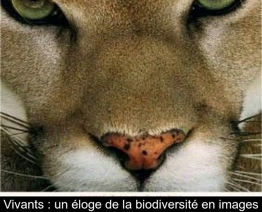 Vivants : un éloge de la biodiversité en images Vivants : un éloge de la biodiversité en images